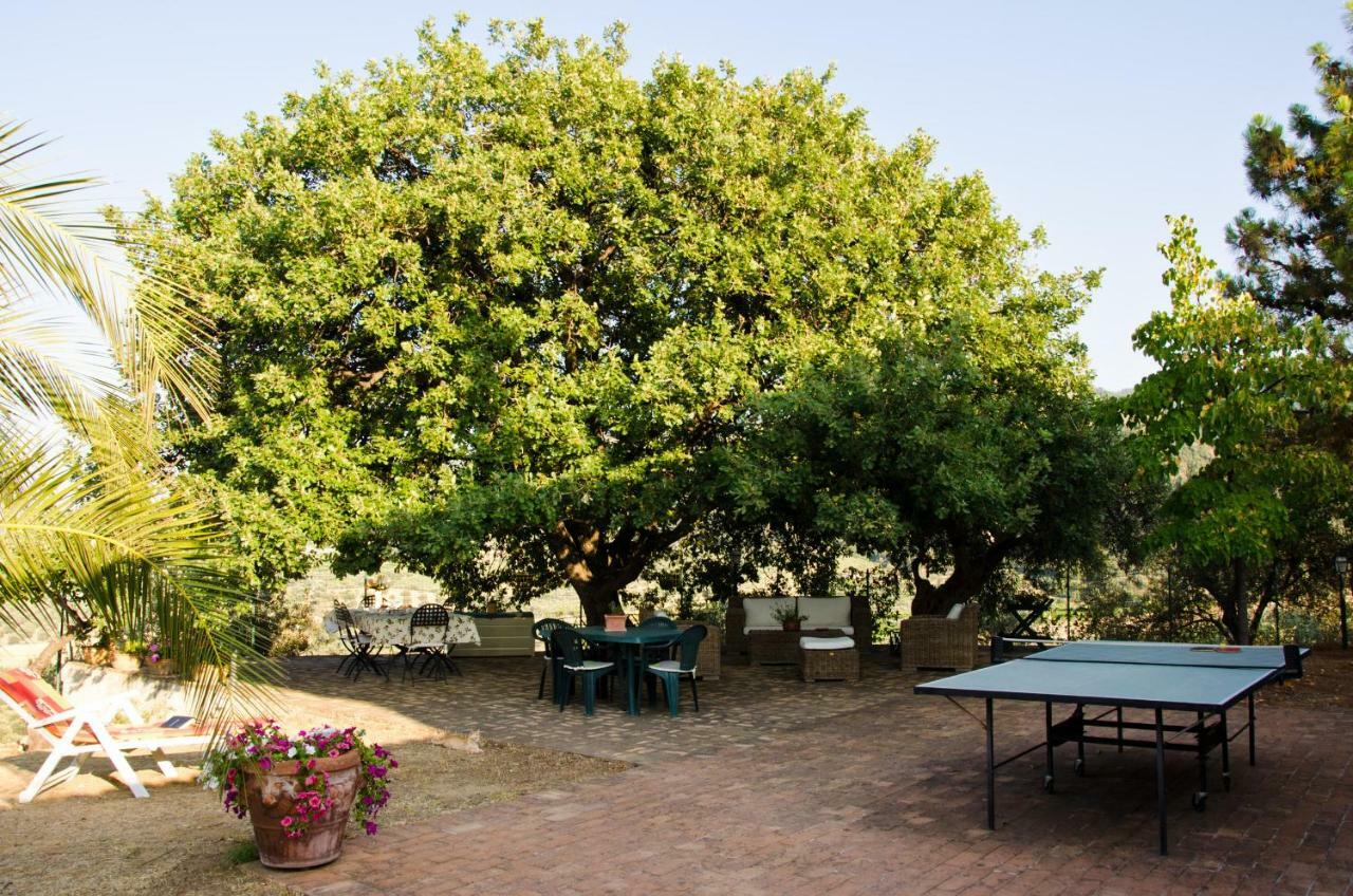 Pathirion B&B Rossano Dış mekan fotoğraf