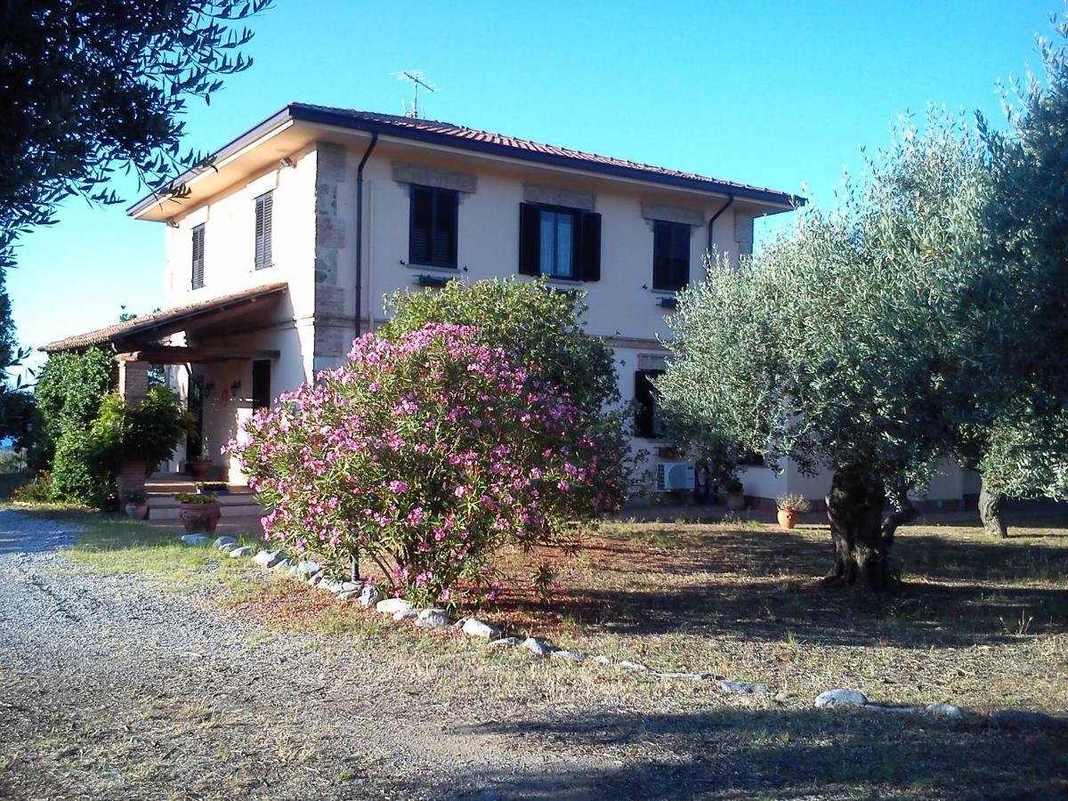 Pathirion B&B Rossano Dış mekan fotoğraf