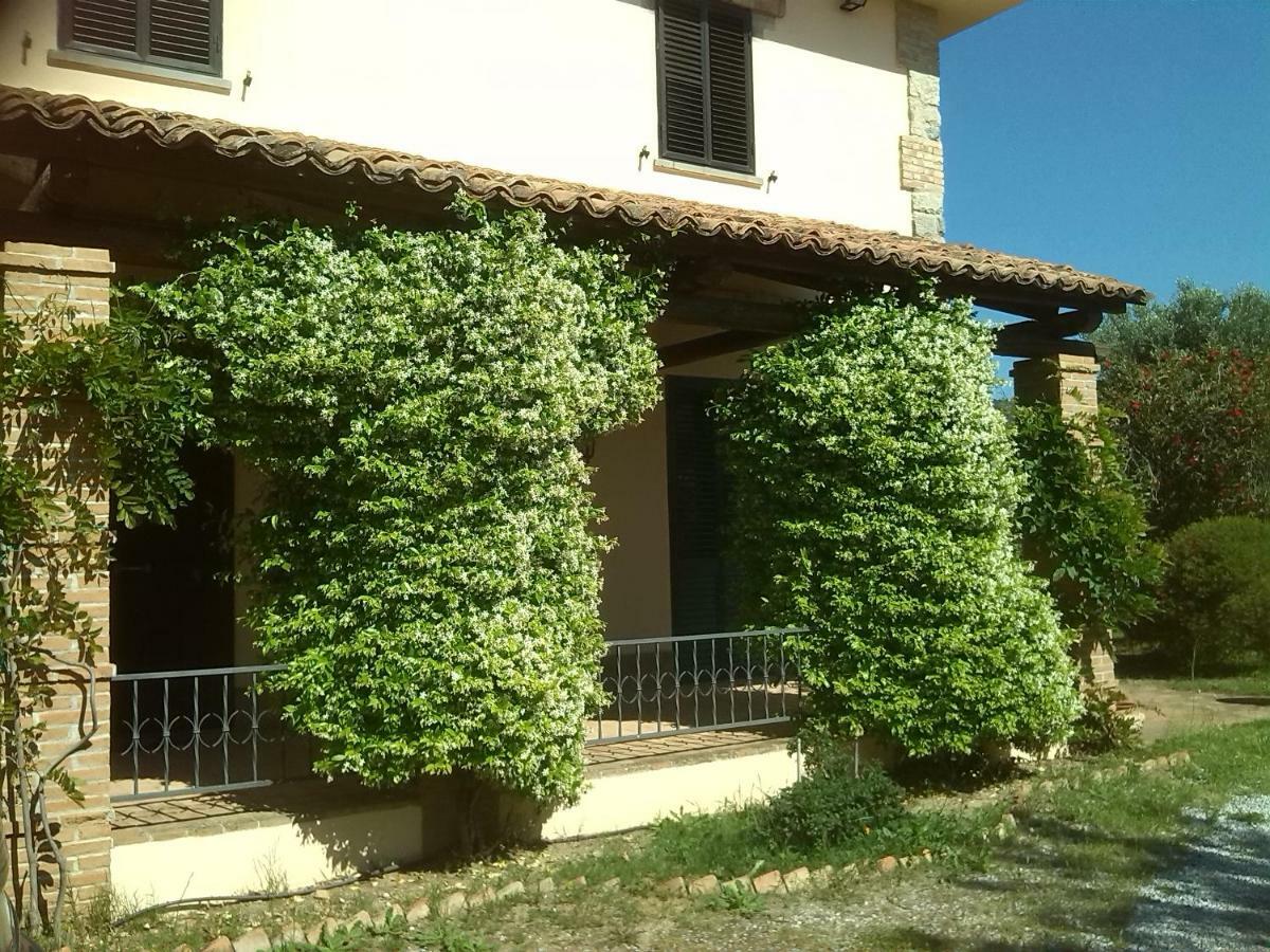 Pathirion B&B Rossano Dış mekan fotoğraf